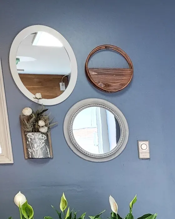 A cluster of round and oval mirrors on the slate-blue wall above the peace lilies